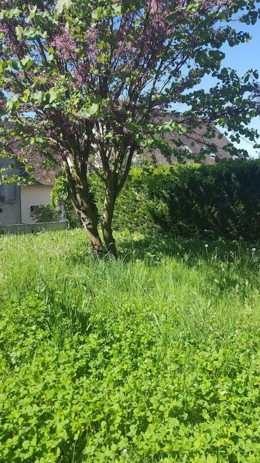 Maison De Campagne A 1H20 De Paris Villa Saint-Hilaire-les-Andresis Luaran gambar